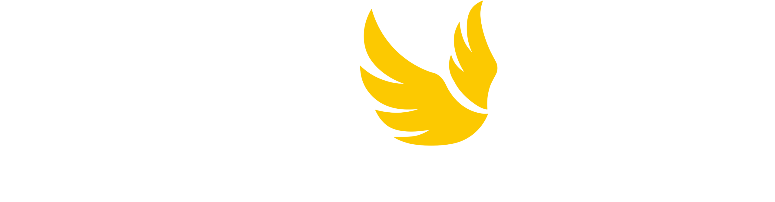 Angel City Sports Primary Logo